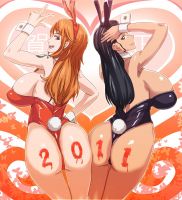 one_piece_nami_x_nico_robin_20110626_015.jpg
